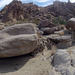 Petroglyph Canyon (115200)