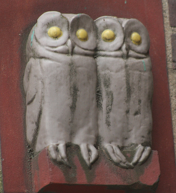 Twin Owls