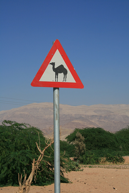 Common Road Sign, Jordan
