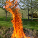 Spring Bonfire Series 1-6