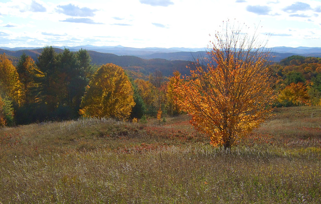 Heading Up the Hill & Looking Back