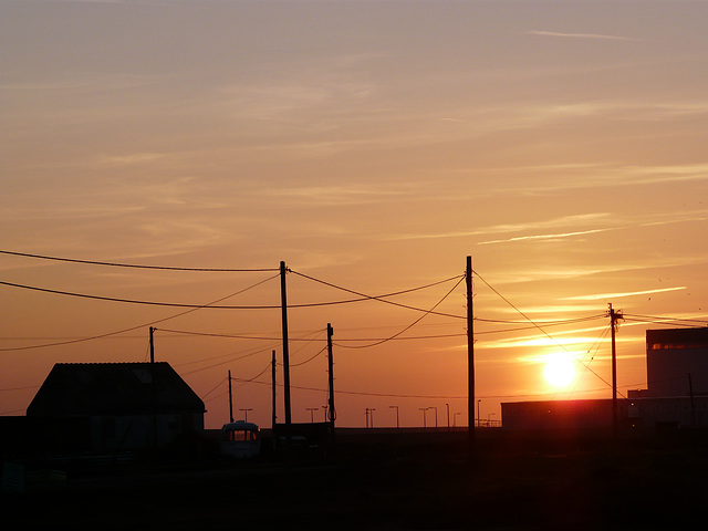 Dungeness Trip 19