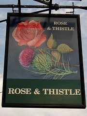 'Rose and Thistle'