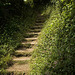 Stairway to Devon
