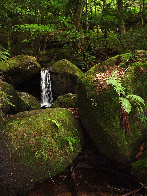 Gertelbachfälle Schwarzwald