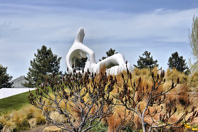 Moore in the Gardens – Botanic Gardens, Denver, Colorado