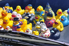 Duckies on the Dashboard