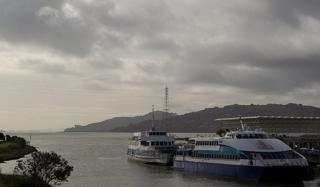 Larkspur Golden Gate Ferry Terminal (1716)