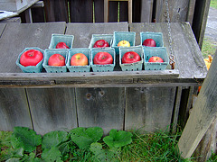 Some Apple Varieties