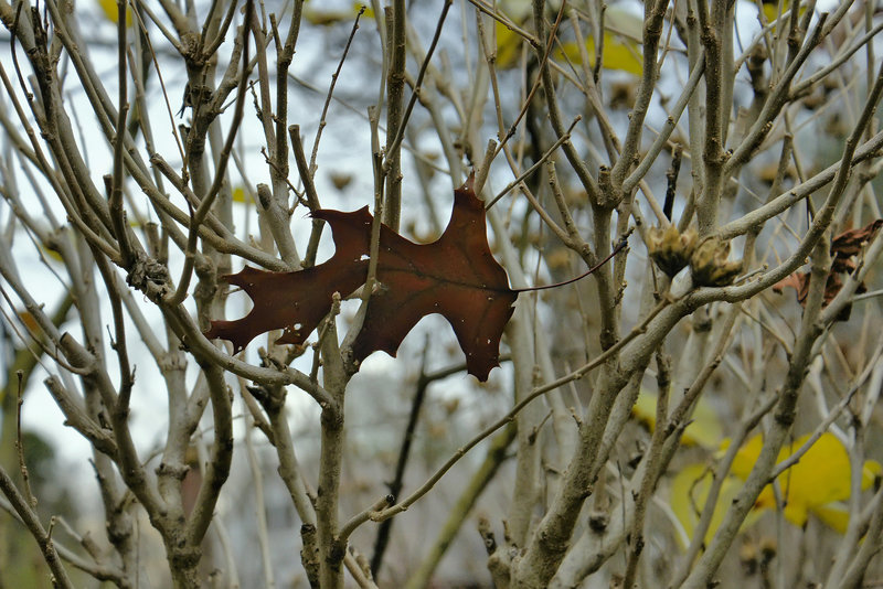 "Let Us Go Then You and I" – Greenbelt, Maryland