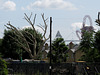 Stadium and Orbit from Victoria Park