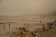 Fog at the beach