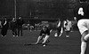 Newpark Seniors 1996/7
