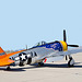 Heritage Flight Conference 2012 - Republic P-47 Thunderbolt "Tarheel Hal"