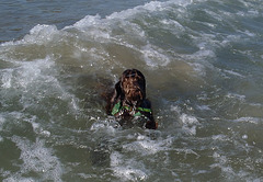 Waratah Bay in the heatwave