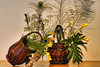 Peacock Feathers and Baskets – Ikebana Exhibition, National Arboretum, Washington D.C.