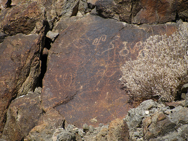 Petroglyph (085507)