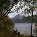 Schiehallion through the Silver Birches by Loch Rannoch's north shore - autumn
