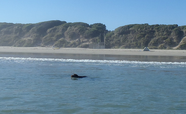 Waratah Bay in the heatwave