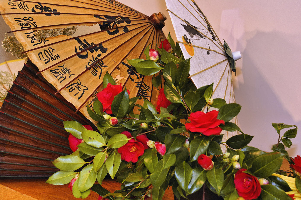 Camellias and Parasols – Ikebana Exhibition, National Arboretum, Washington D.C.