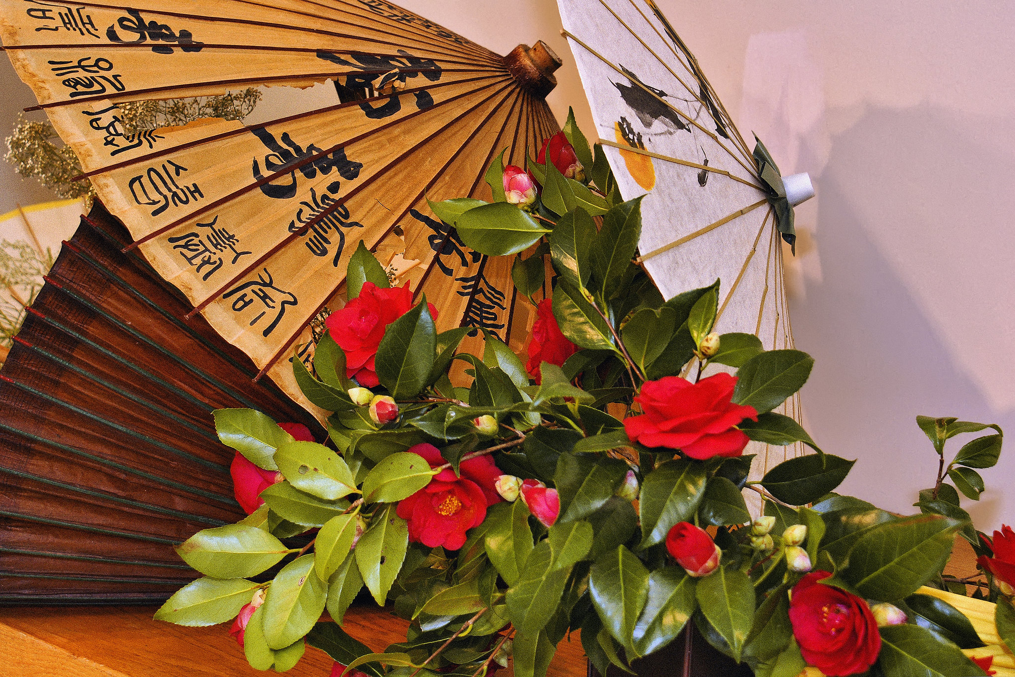 Camellias and Parasols – Ikebana Exhibition, National Arboretum, Washington D.C.