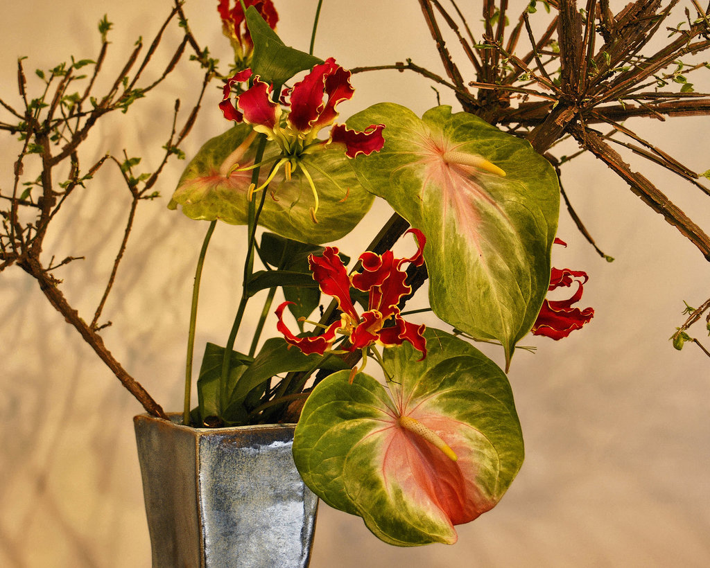 Tongues of Fire – Ikebana Exhibition, National Arboretum, Washington D.C.