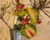 Tongues of Fire – Ikebana Exhibition, National Arboretum, Washington D.C.