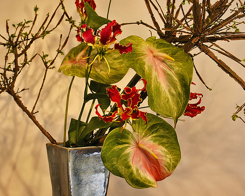 Tongues of Fire – Ikebana Exhibition, National Arboretum, Washington D.C.