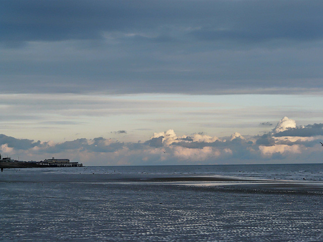 Low Tide