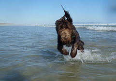 Waratah Bay in the heatwave