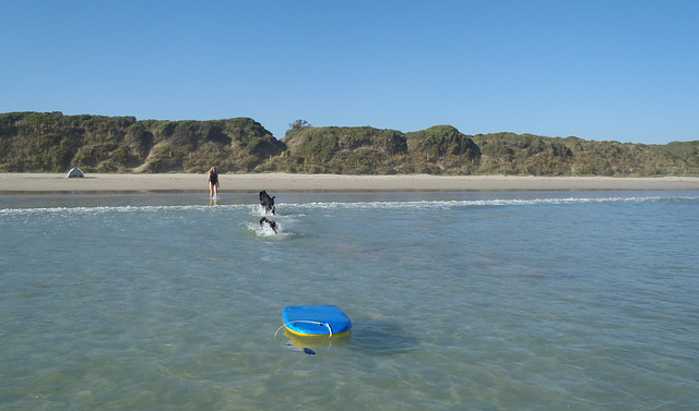 Waratah Bay in the heatwave