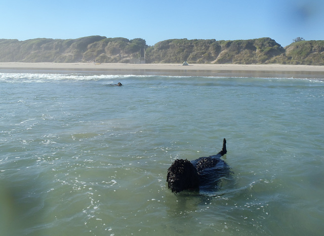 Waratah Bay in the heatwave