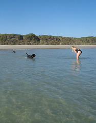 Waratah Bay in the heatwave