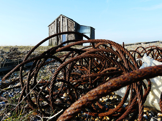 Dungeness Trip 7