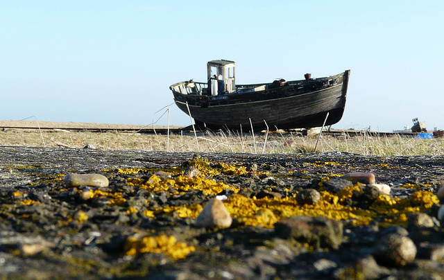 Dungeness Trip 6