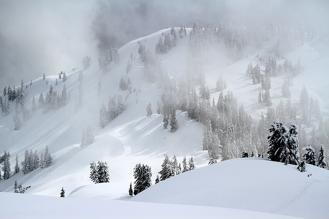 Snowshoeing at Mount Baker