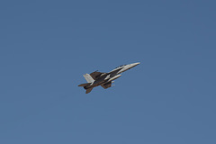 VFA-122 Boeing F/A-18F Super Hornet