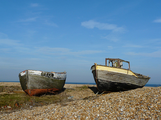 Dungeness Trip 4