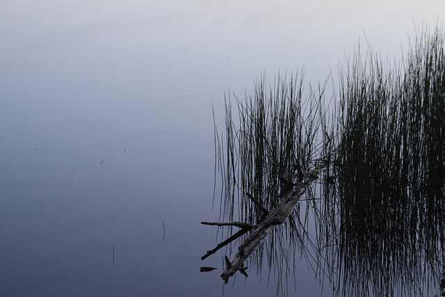 Cranberry Lake