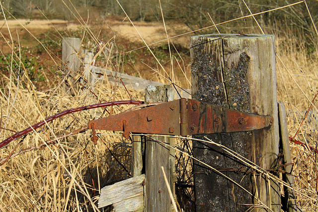 Old Gate