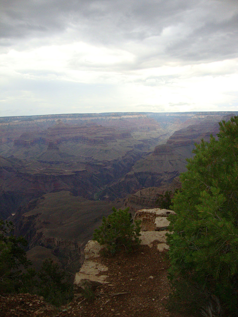 grand canyon 356