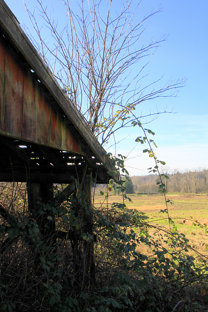 Outbuilding