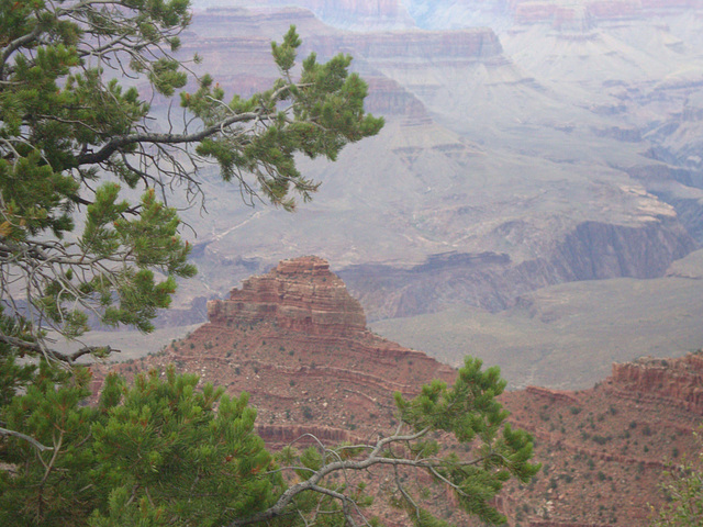 grand canyon 346