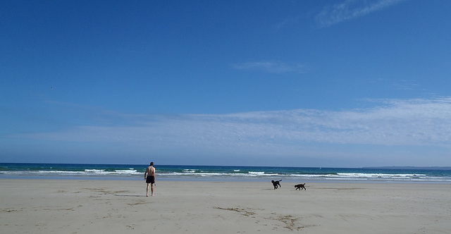 Waratah Bay - after party beach trip