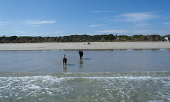 Waratah Bay - after party beach trip