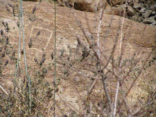 Petroglyph (095508)