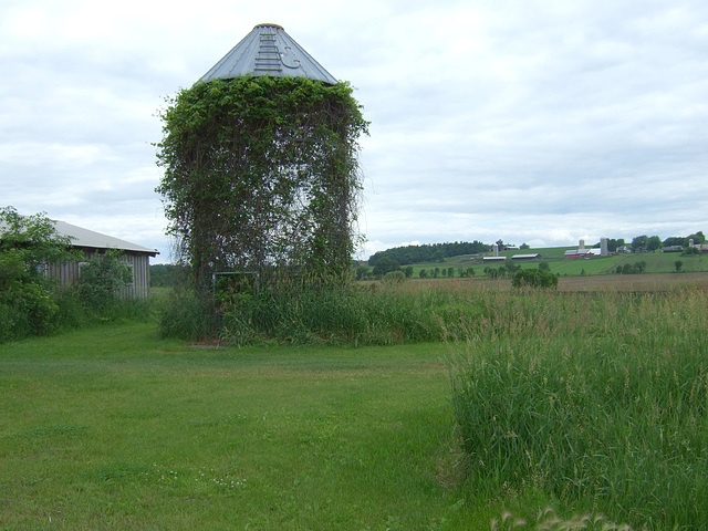 Sky Silo - In June