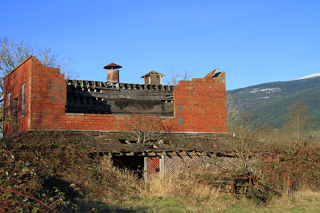 Cannery Building