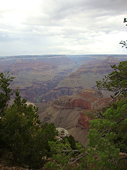 grand canyon 345