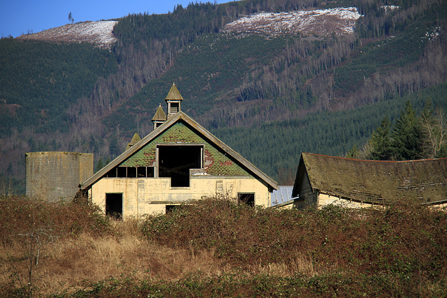 Dairy Barns and Stables